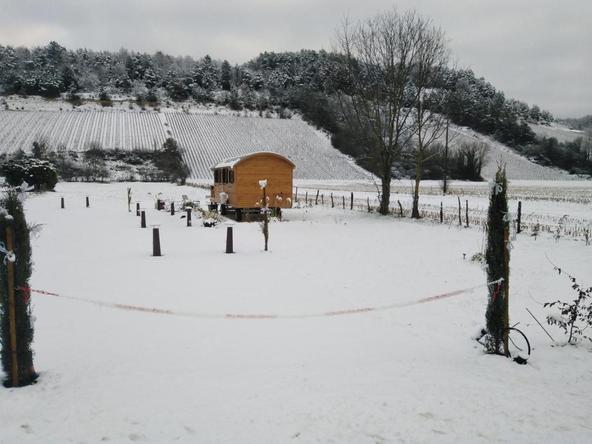 Villa l'échappée belle en Champagne Spoy  Exterior foto